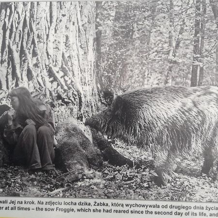 In Nature Біловежа Екстер'єр фото