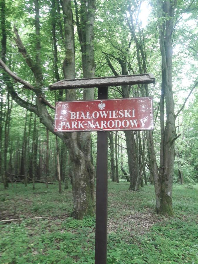 In Nature Біловежа Екстер'єр фото