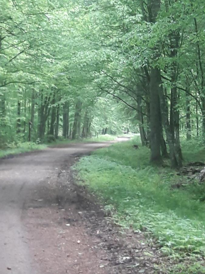 In Nature Біловежа Екстер'єр фото