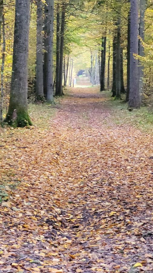 In Nature Біловежа Екстер'єр фото